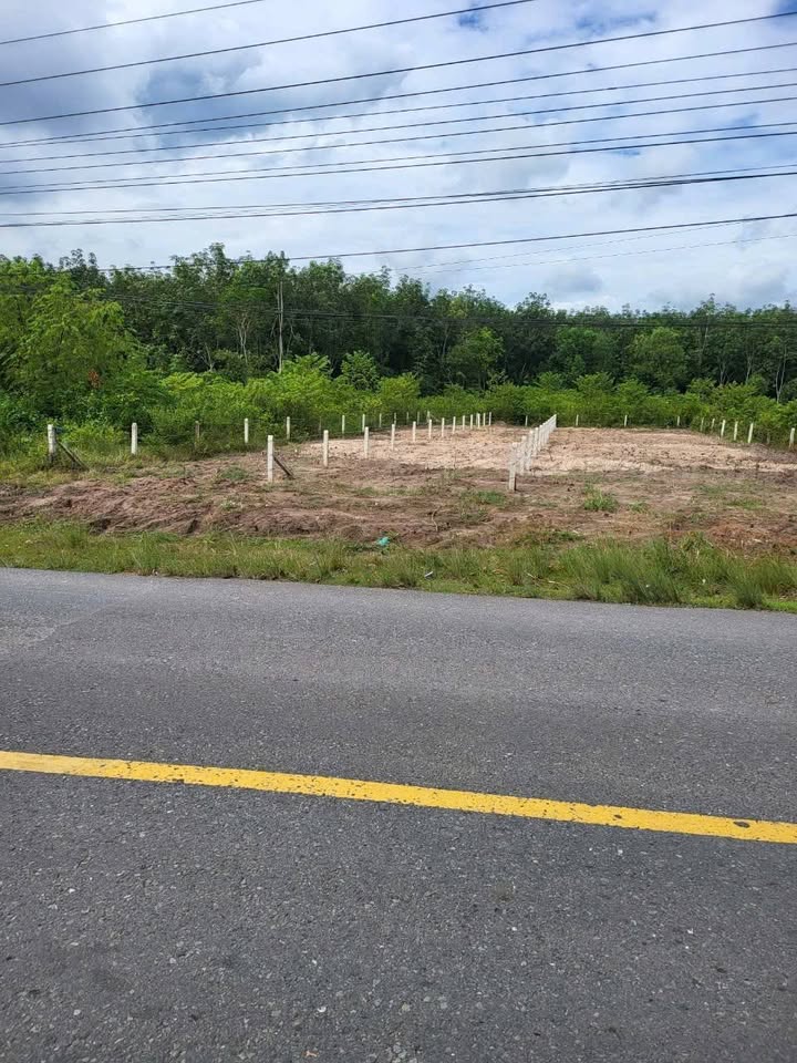 Đất nền chính chủ Định Hiệp Dầu Tiếng 500m² giá 2.3 tỷ - Cơ hội đầu tư hấp dẫn!