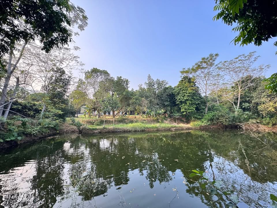 Lô đất vườn 3500m² tại Vân Hoà, Ba Vì - Phù hợp làm homestay