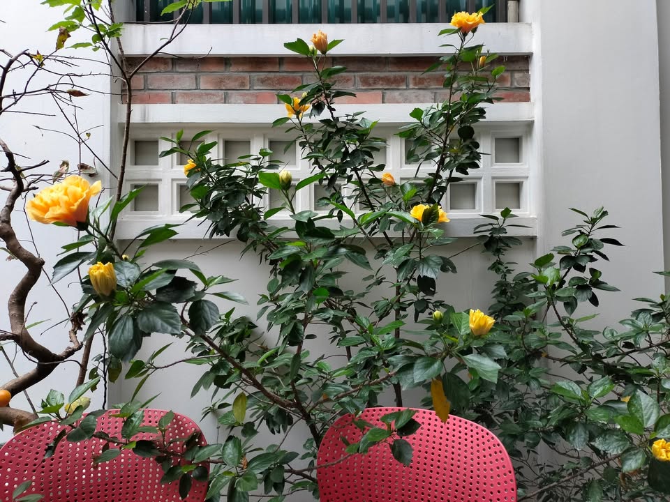 Shophouse mặt đường 30m, Phủ Lý, Hà Nam - Diện tích 120m², giá thỏa thuận