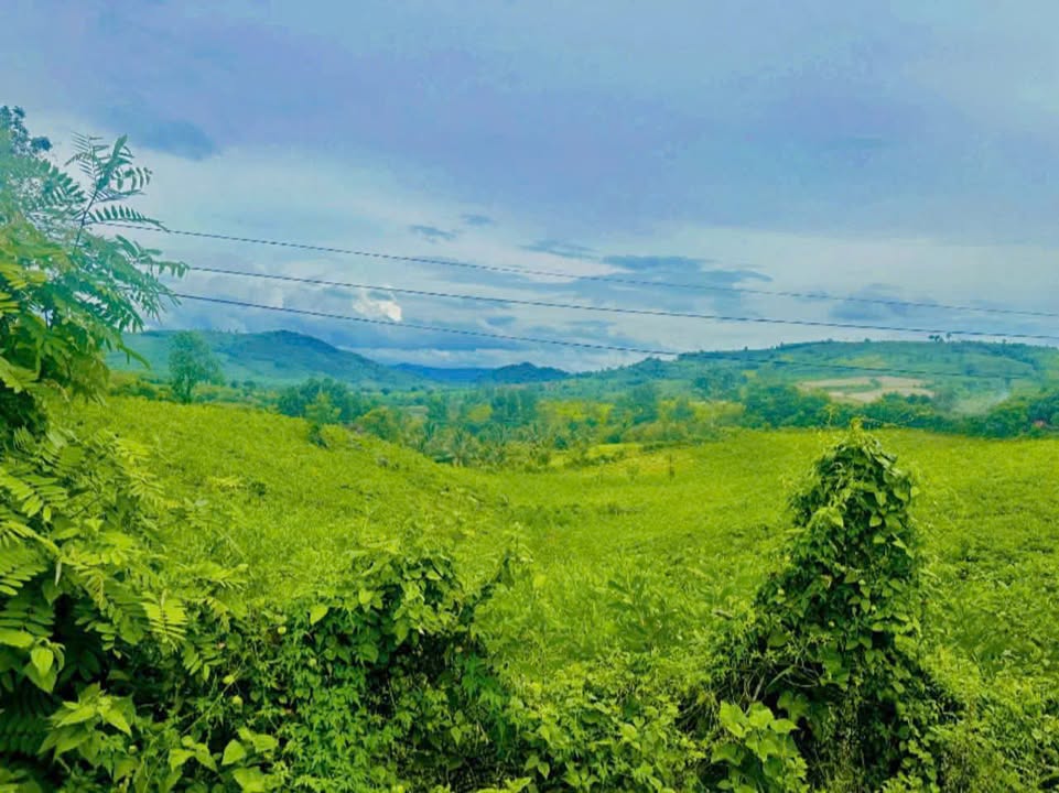 Đất thổ cư Quốc lộ 29 Sông Hinh 330m² giá 500 triệu - Đầu tư sinh lời ngay!