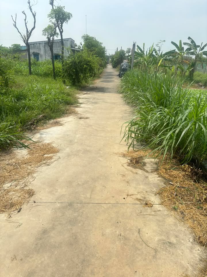 Đất cây lâu năm Gò Công 47m² giá 1.5 triệu - Sổ hồng chính chủ!