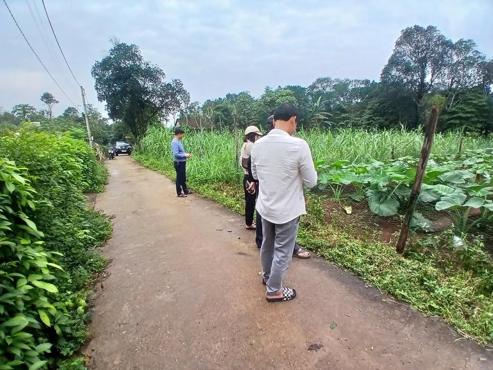 Đất nền Vĩnh Nam 210m² giá chỉ 100 triệu - Sổ hồng chính chủ sẵn sàng!