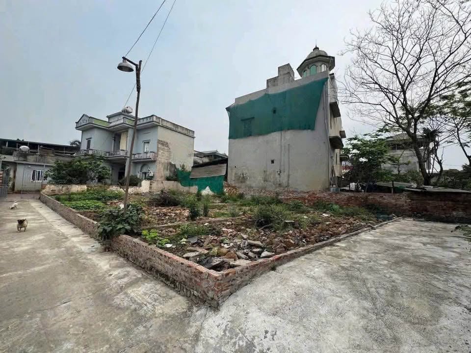 Đất nền tại Tam Hưng, Thanh Oai 42.4m² giá thỏa thuận - Đầu tư sinh lời tiềm năng!