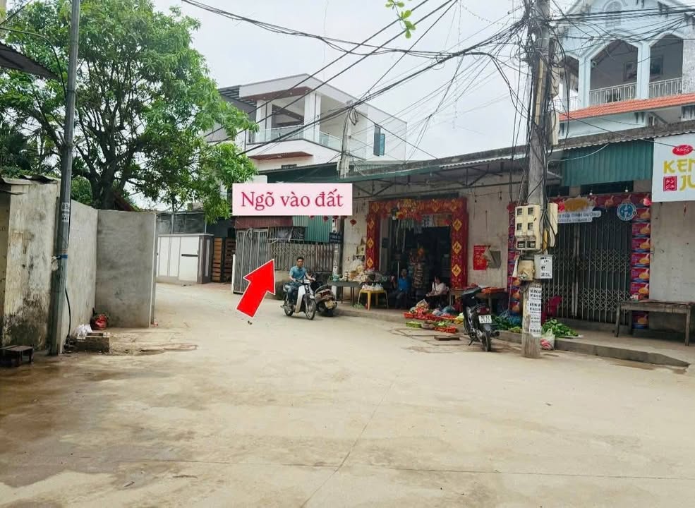 Đất nền Thọ Lộc, Phúc Thọ 44m² giá 900 triệu - Đầu tư sinh lời ngay!