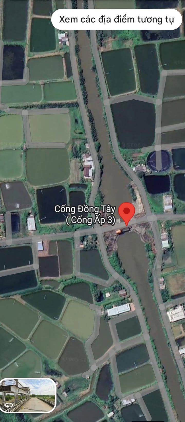 Đất nông nghiệp 26.000m² mặt tiền nhựa - Thích hợp nuôi tôm tại Trà Vinh