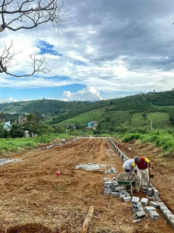 Đất nền 2 mặt tiền đường Tôn Thất Thuyết Bảo Lộc 965m² giá 3.65 tỷ - Đầu tư sinh lời ngay!