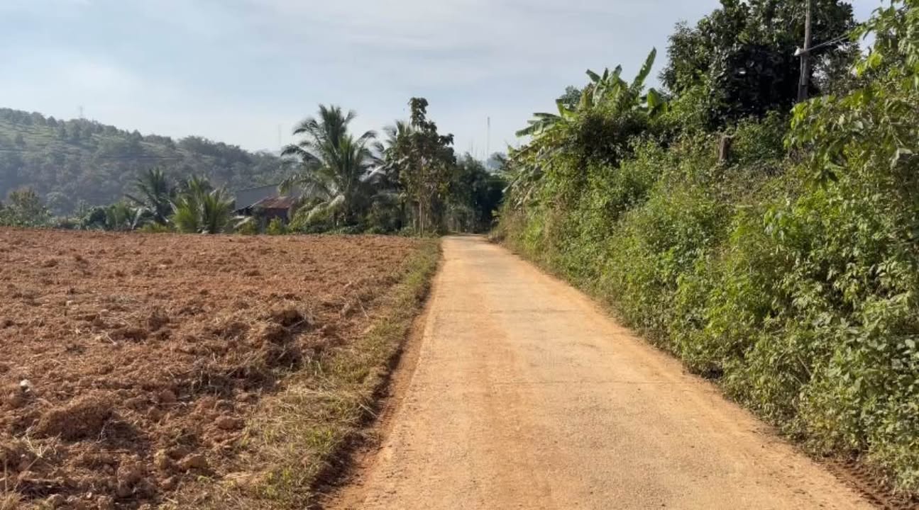 Đất mặt tiền 2600m² tại Đăk Sôr, Krông Nô - Giá 900 triệu, Pháp lý rõ ràng!