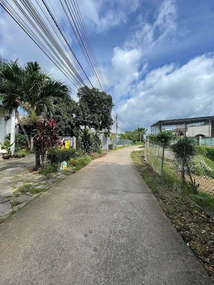 Đất thổ cư Phú Xuân, Định Quán 203m² giá 1.1 tỷ - Xây nhà ở ngay!