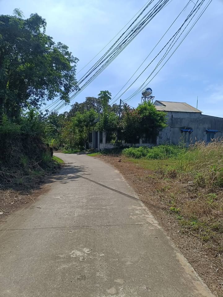 Đất nền Gia Canh, Định Quán, Đồng Nai 1640m² giá 1.15 tỷ - Mặt tiền đường bê tông, sổ hồng riêng!