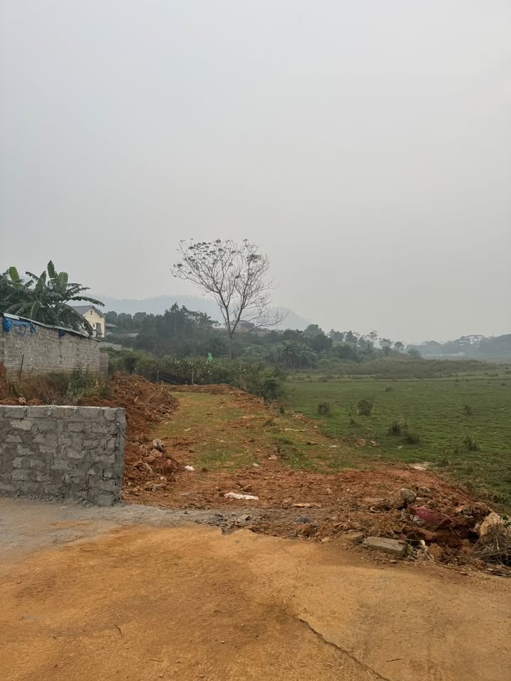 Đất Hòa Thạch Quốc Oai 500m² giá 1 tỷ - Cơ hội đầu tư tuyệt vời!