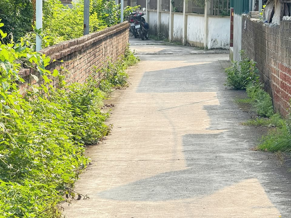 Đất thổ cư Sơn Đông 140m² - Giá thỏa thuận, vị trí tiềm năng!