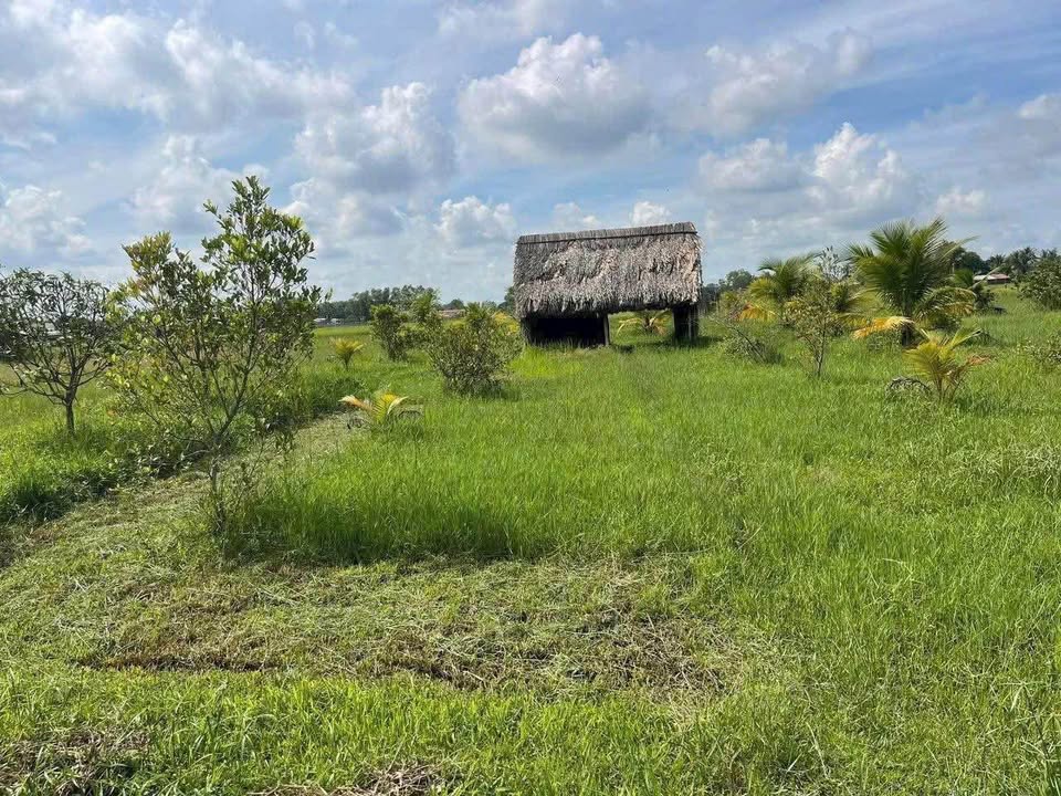 Đất nền Tân An Hội, Củ Chi 819m² giá 1.1 tỷ - Cơ hội đầu tư lý tưởng!