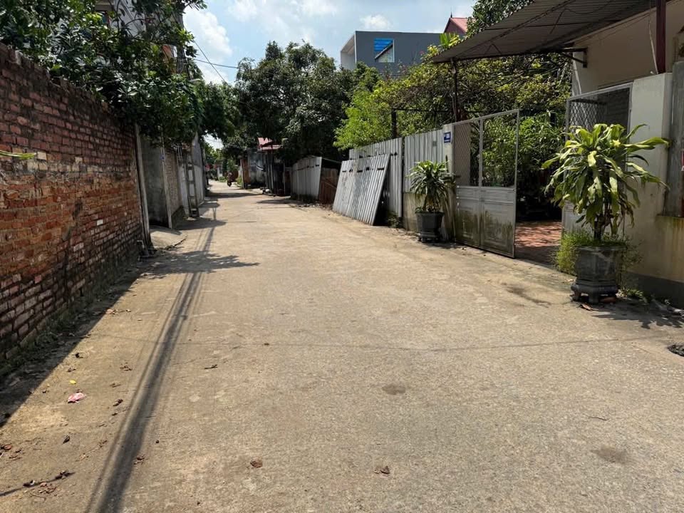 Đất thổ cư 100m² tại Trại Rừng, Sóc Sơn giá 1.1 tỷ - Đầu tư sinh lời ngay!