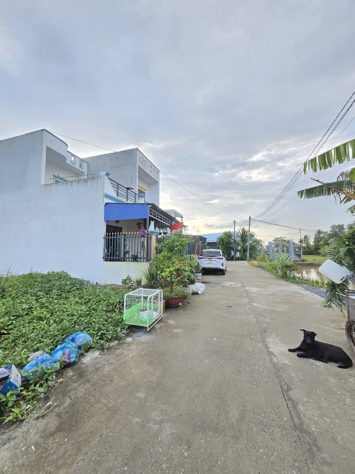 Đất nền Cần Đước Long An 116m² giá 800 triệu - Sổ hồng riêng, xây dựng tự do!