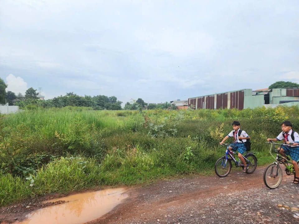 Đất 3 Mặt Tiền Bình Minh, Trảng Bom 10.000m² giá 30 tỷ - Tiềm năng đầu tư tuyệt vời!