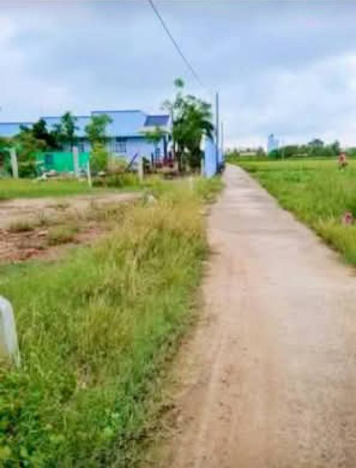 Đất nền phường Sơn Qui, Gò Công, Tiền Giang 100m² giá chỉ 480 triệu - Sổ hồng sang tên nhanh chóng!