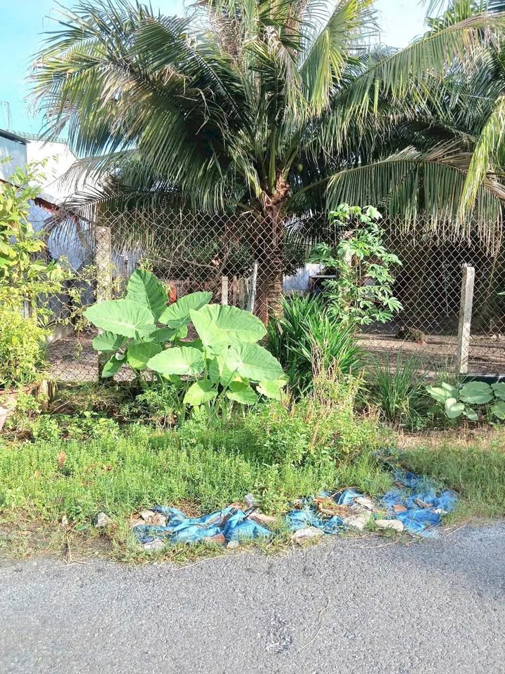 Bán đất Hiệp Thạnh, phường Hiệp Ninh, 208m² chỉ 2.795 tỷ - Hướng Nam, vị trí đắc địa!