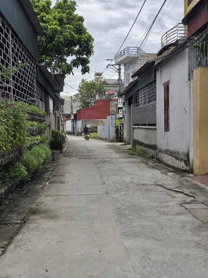 Đất nền Việt Hòa, Hải Dương 70m² giá 1 tỷ - Đường ô tô vào tận nơi!