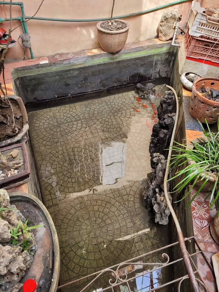 Nhà riêng phố Hoa Lâm Long Biên 90m² giá 5 triệu - Sân vườn thoáng mát!