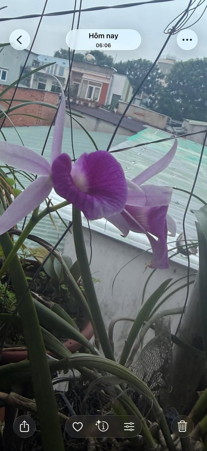 Căn hộ Chung cư Tây Thạnh 58m² giá 2.2 tỷ - Sẵn sàng vào ở ngay!