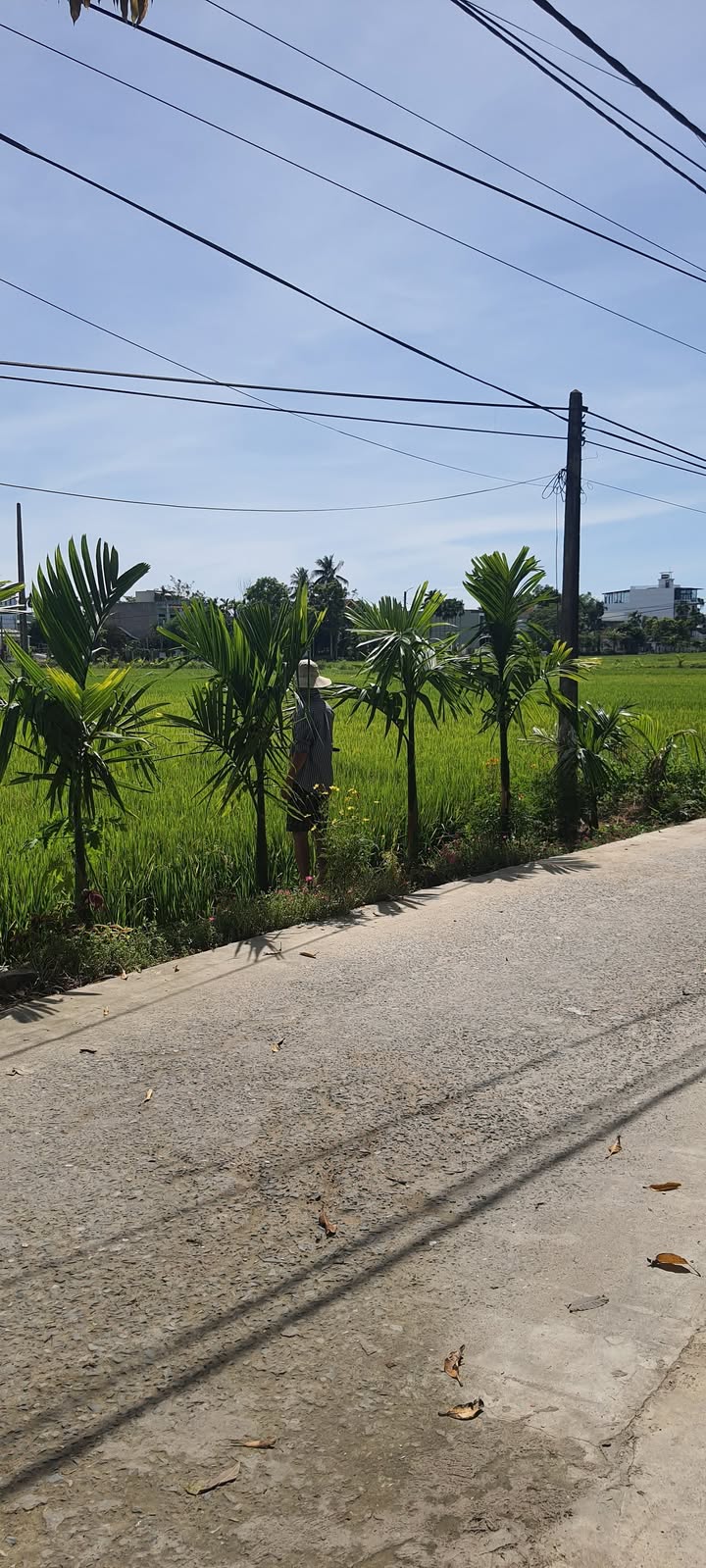 Đất nền Điện Hòa 285.6m² giá 2.3 tỷ - Đường nhựa 4m thông thoáng!