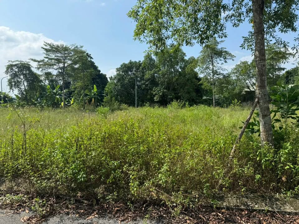 Đất nền Cổ Đông 60m² giá đầu tư - Mặt tiền 5m, đường ô tô tránh nhau!