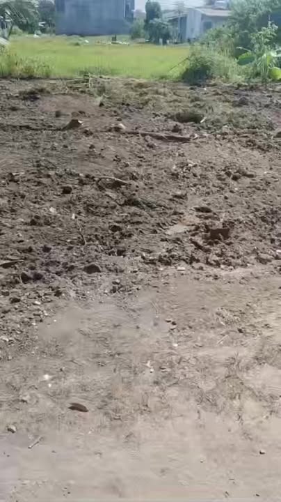 Đất thổ cư 170m² tại Mỹ Hạnh Bắc, Đức Hòa - Giá chỉ 1.4 tỷ, bán gấp!