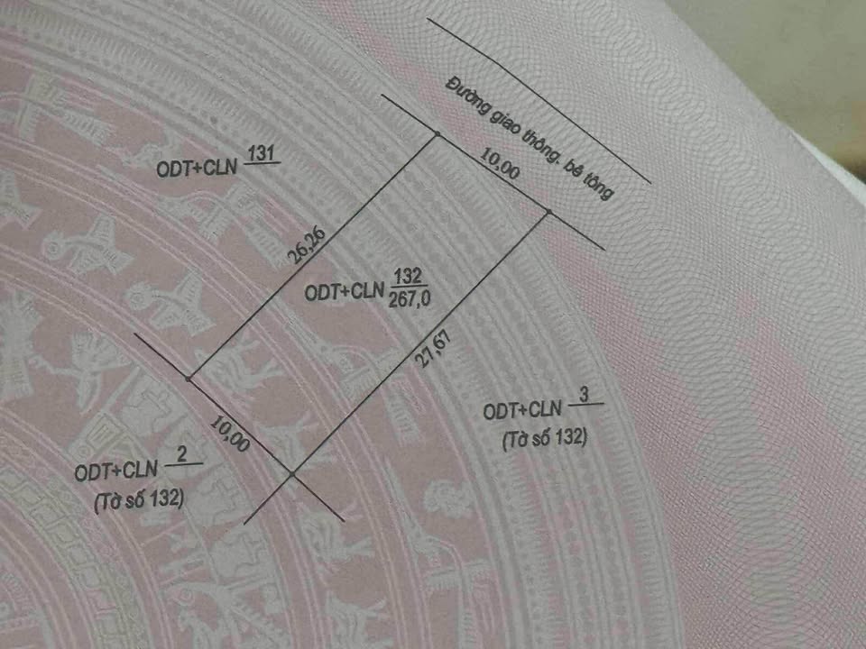 Đất nền Bắc Lý Hiệp Hòa 270m² - Vị trí trung tâm thuận lợi!