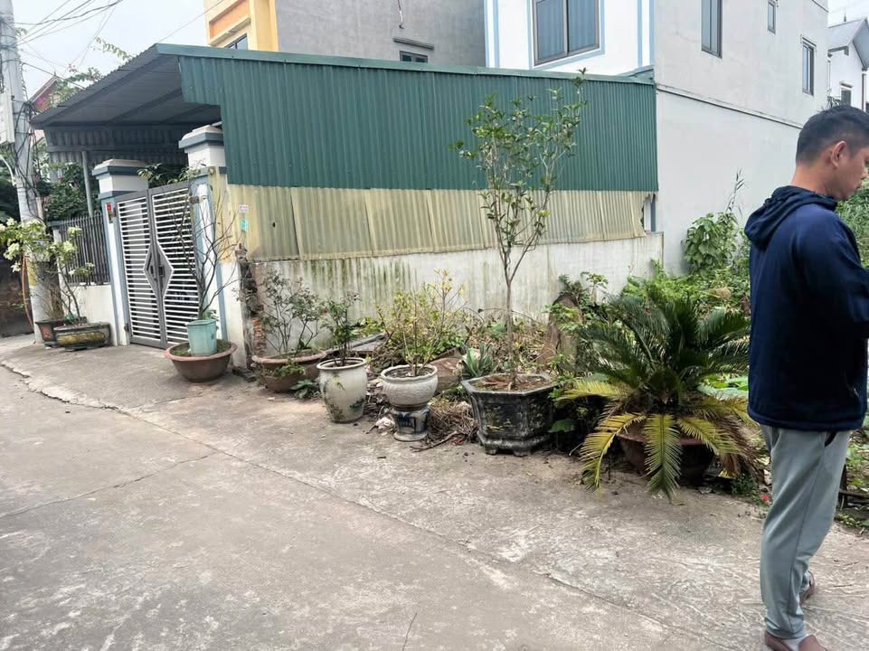 Đất nền Xóm Ngọc Liễu Viên, Nghiêm Xuyên, 80m² giá 2 tỷ - Vị trí đắc địa, chuẩn phong thủy!