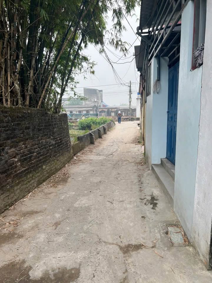 Nhà bán tại xã Tân Thành, huyện Vụ Bản, Nam Định - Diện tích 85m², giá chỉ 800 triệu!