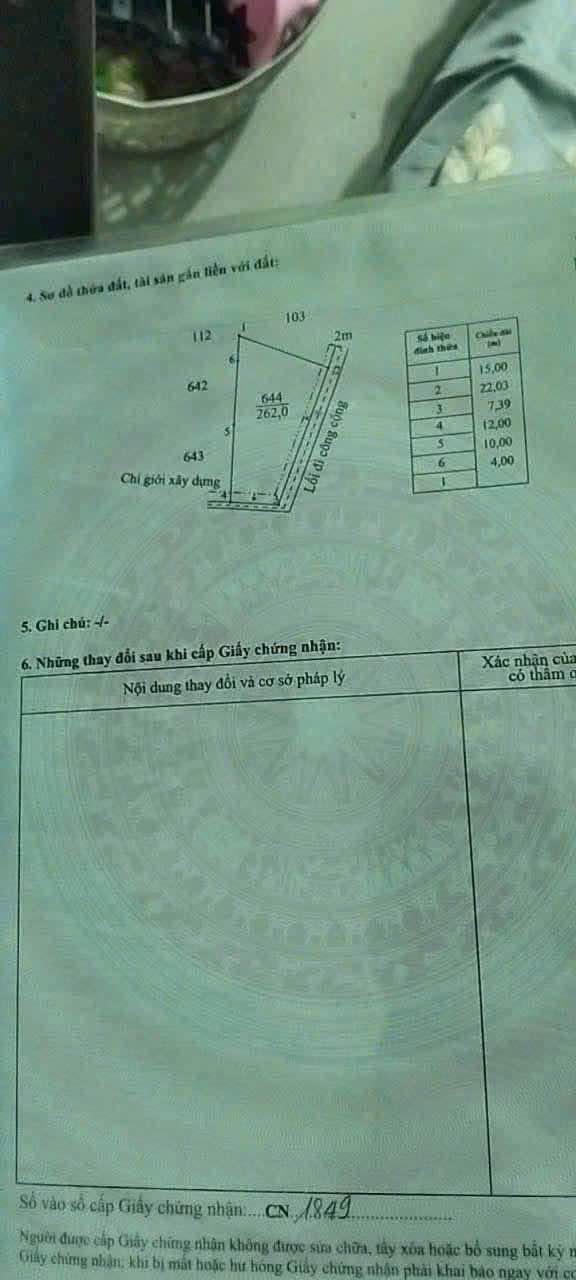 Đất thổ cư Tân Ân, Cần Đước 262m² giá 900 triệu - Lô góc 2 mặt tiền đường