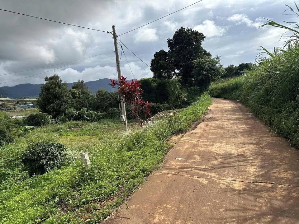 Đất nền Quảng Lập 869m² giá 800 triệu - Không gian yên bình lý tưởng!