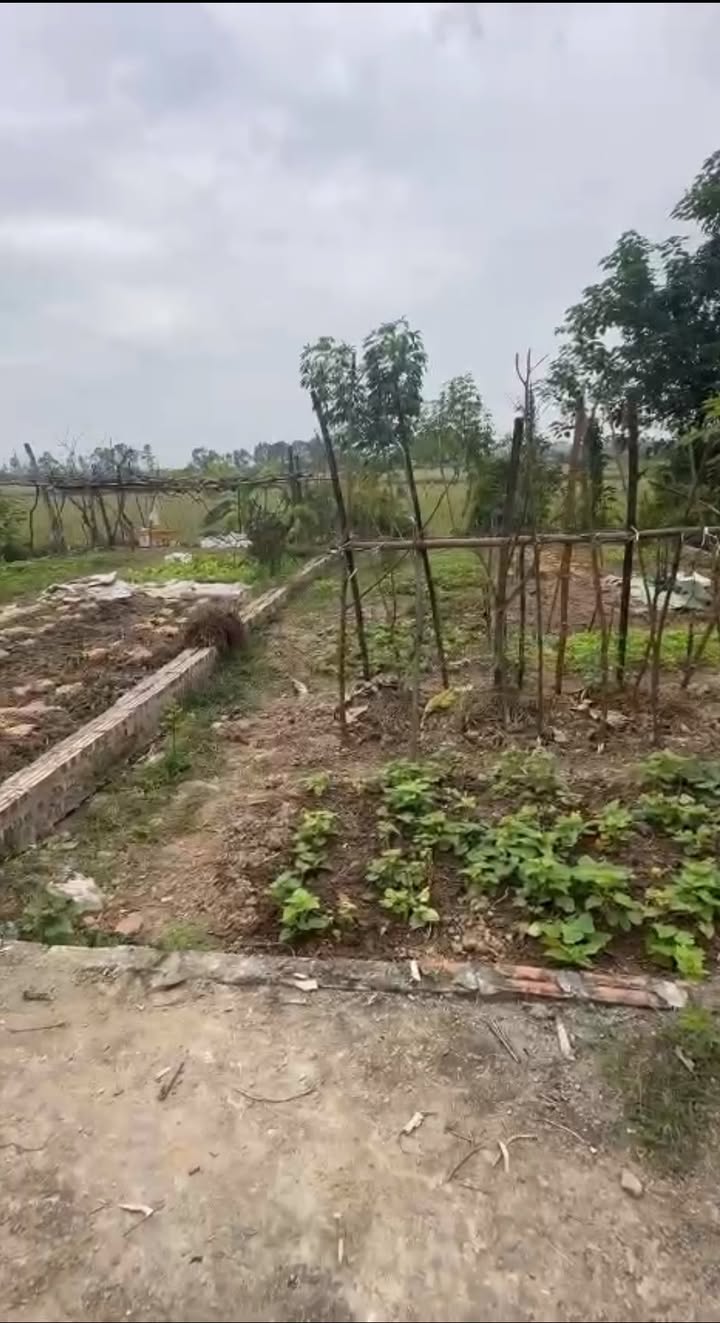 Đất nền Khu Tập Thể Bệnh Viện Cũ - Kim Lâm, Thanh Oai 70m² giá 4.55 tỷ - Tiềm năng đầu tư cao!