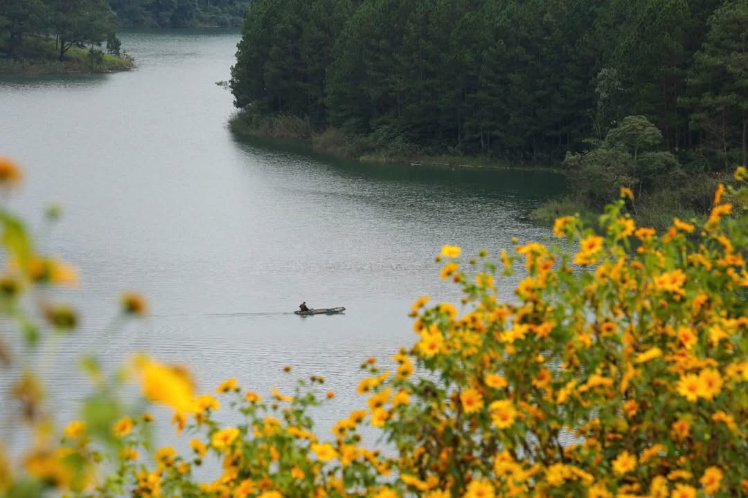 Đất nền 500m² tại Đà Lạt, giá 750 triệu - Cơ hội đầu tư hiếm có!