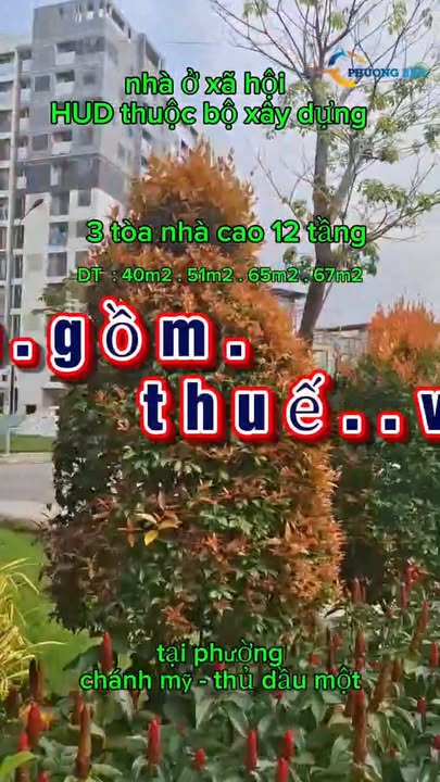 Căn hộ Nhà Ở Xã Hội HUD Chánh Mỹ Thủ Dầu Một 35m² chỉ 150 triệu - Cơ hội vàng cho người thu nhập thấp!