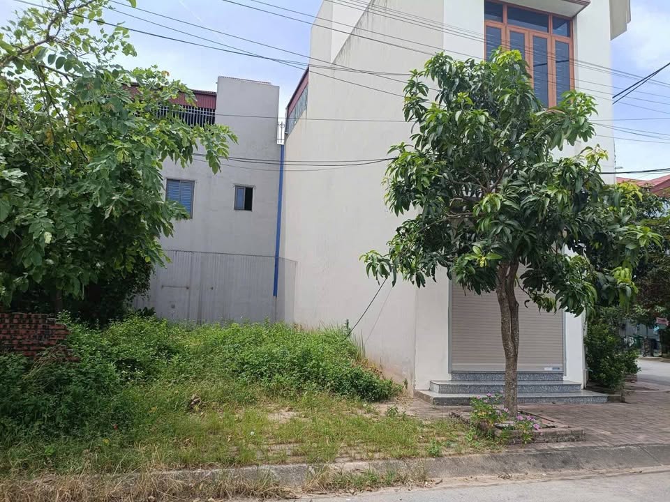 Lô đất DCM Tĩnh Linh, Trung Nghĩa - Hưng Yên 65.3m² giá 2 tỷ - Gần trường và chợ!