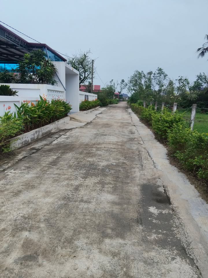 Đất thổ cư Cẩm Dương 300m² giá 900 triệu - Đầu tư sinh lời ngay!