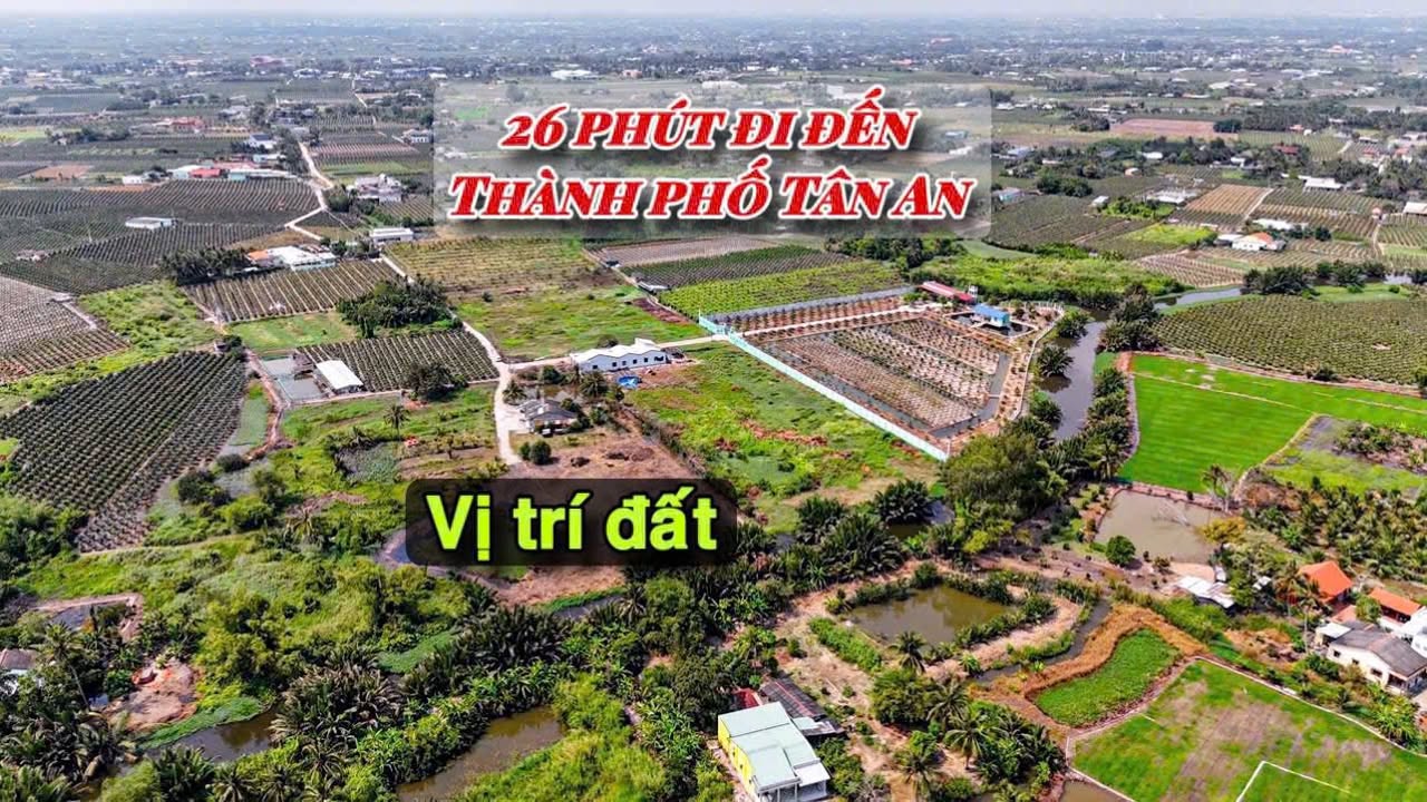 Đất vườn Phú Ngãi Trị 4310m² giá 9.5 tỷ - Siêu phẩm mát rượi bên sông Vàm Cỏ Tây!