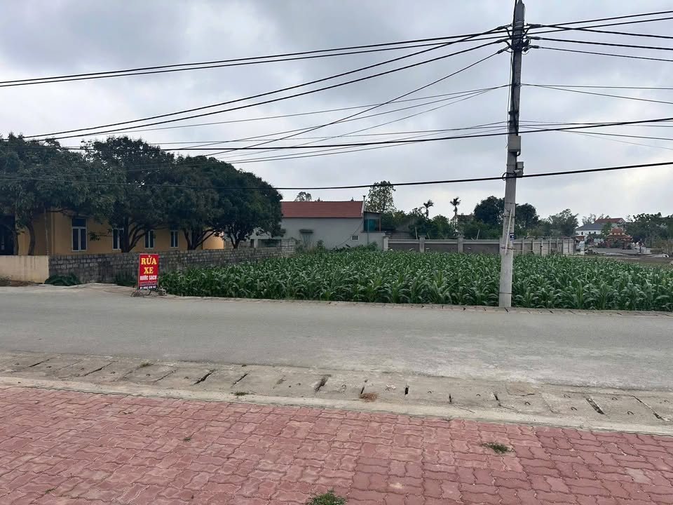 Đất nền liền kề Hiệp Cường, Kim Động, 300m² giá chỉ 2 tỷ - Cơ hội đầu tư hiếm có!