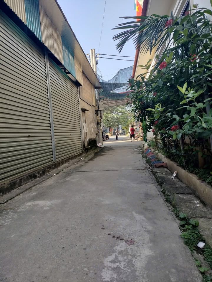 Đất thổ cư Thôn Bộ Đầu, Thường Tín, 46.5m² giá 2.46 tỷ - Đường ô tô vào tận nơi!