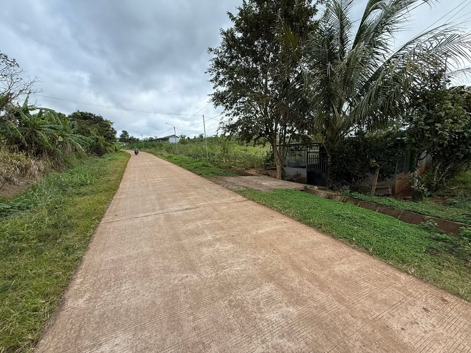 Đất thổ cư Ea Khăl 5900m² giá 1.6 tỷ - Mặt tiền đường bê tông 18m