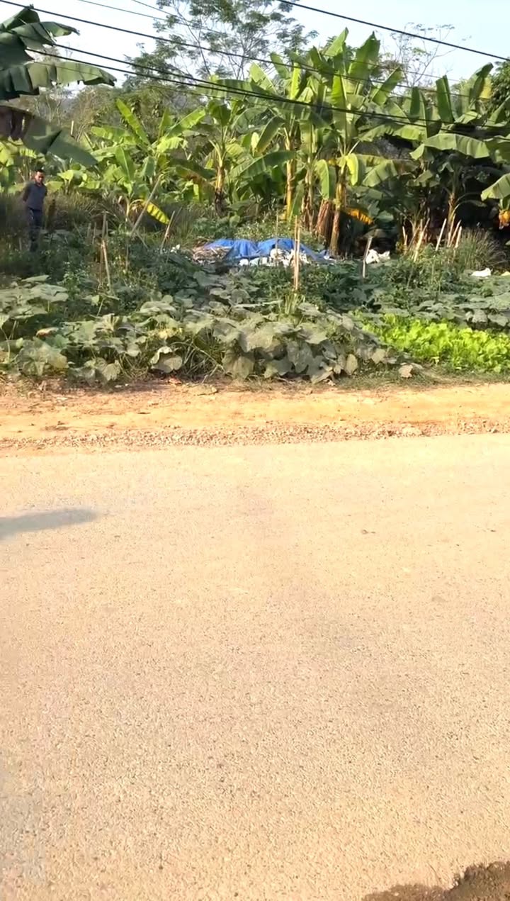 Đất kinh doanh mặt tiền tỉnh lộ Mỏ Trạng, Yên Thế 171m² - Vị trí đắc địa, giá tốt!