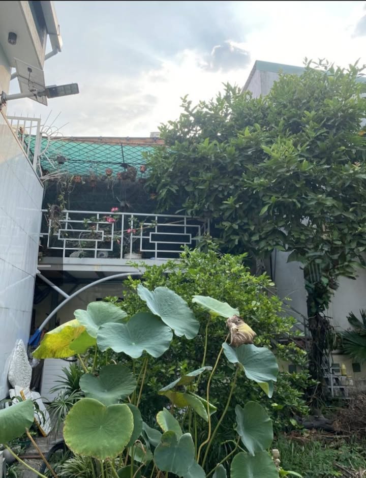 Nhà vườn Hiệp Bình Phước Thủ Đức 294m² giá 13.735 tỷ - Không gian sống chuẩn resort!