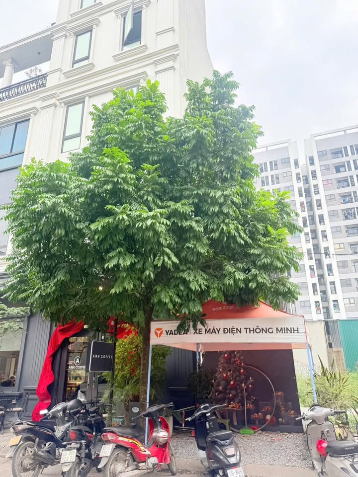 Lô đất tại Nhân Hòa, Mỹ Hào, Hưng Yên 82,5m² giá 8 tỷ - Đầu tư sinh lời tuyệt vời!