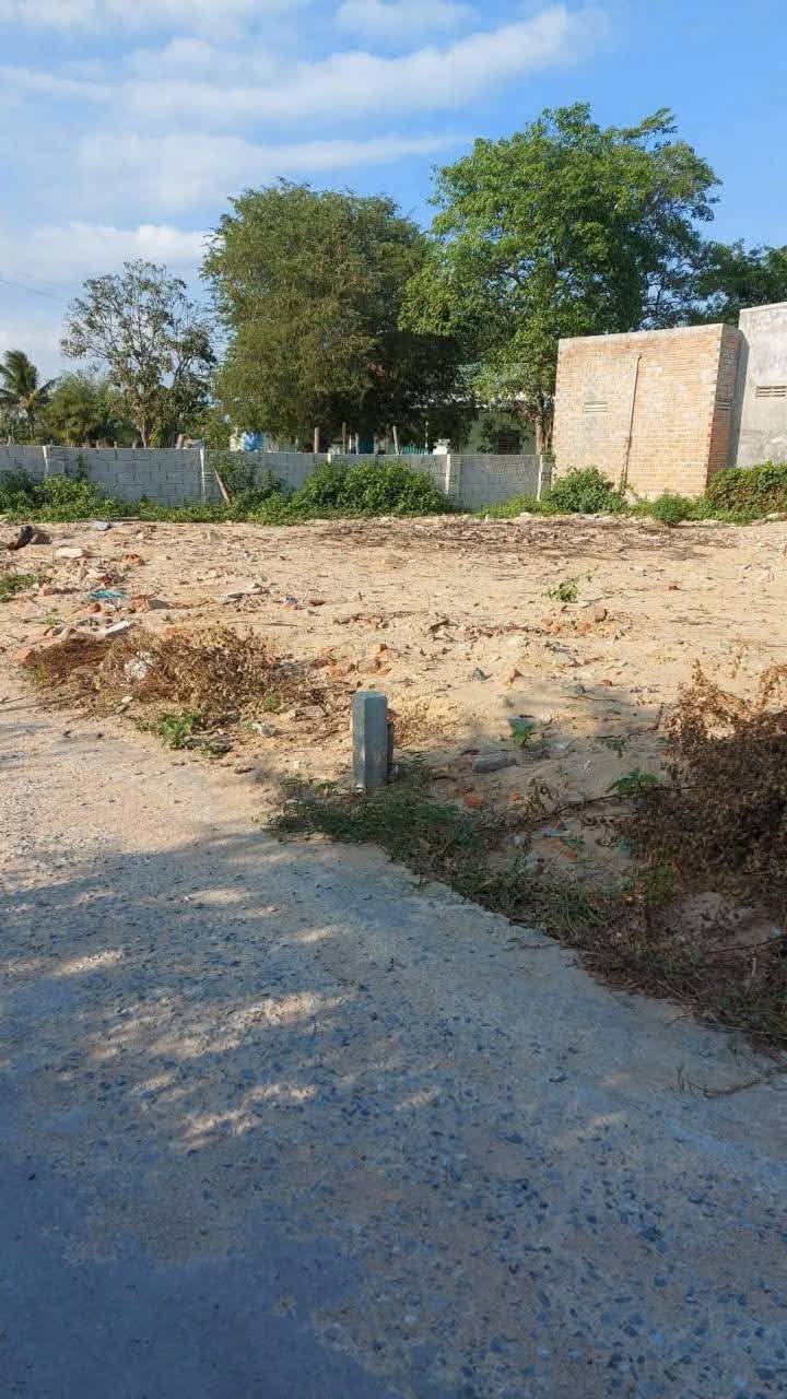 Đất thổ cư Phước Hải Khánh Hòa 100m² giá 430 triệu - Sổ hồng chính chủ sẵn sàng giao dịch!