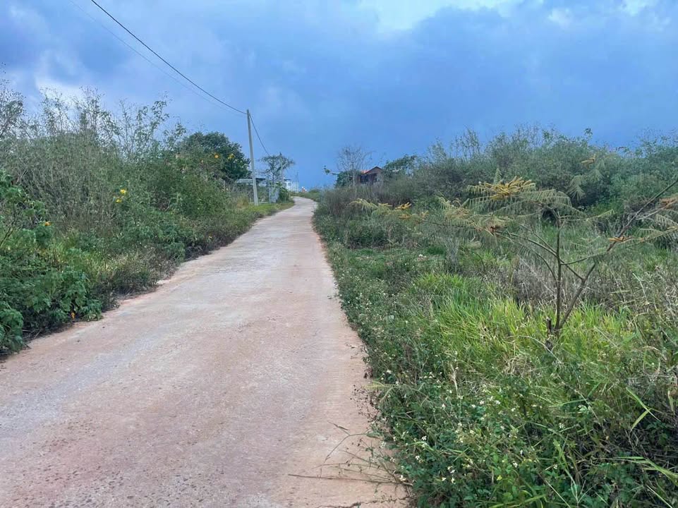 Đất nền Bảo Lộc 1190m² giá 3.2 tỷ - Vị trí đẹp, thuận tiện giao thông!