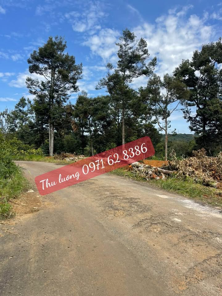 Lô đất mặt tiền Chi Lăng, Bảo Lộc 166m² giá 870 triệu - Sổ đỏ chính chủ, thương lượng tốt!