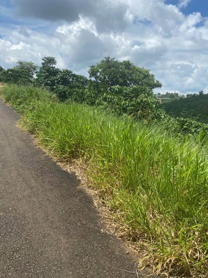 Đất nền Bảo Lộc 380m² giá 2.2 tỷ - Vị trí đắc địa gần trường học!