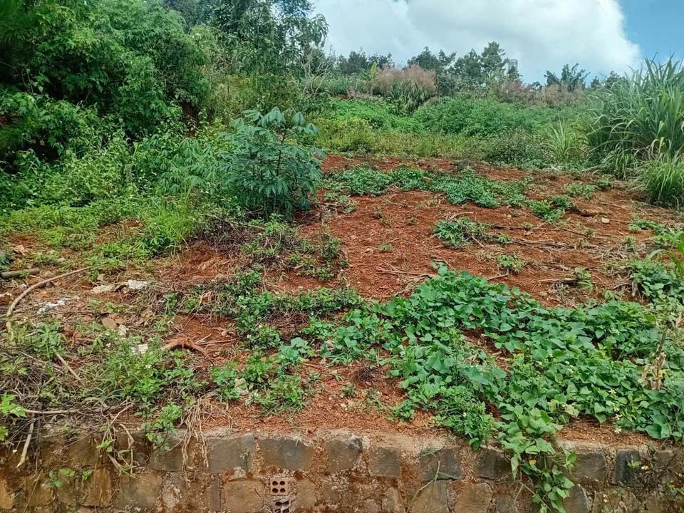 Đất thổ cư 250m² tại hẻm Trần Nguyên Hãn, P2 - Giá 2,2 tỷ - Ô tô vào tận nơi!