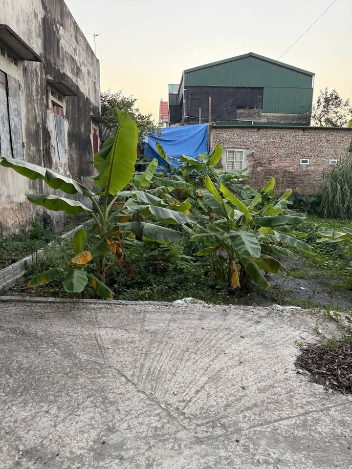 Đất thổ cư Khai Thái Phú Xuyên 80m² giá 1.25 tỷ - Cơ hội đầu tư tuyệt vời!